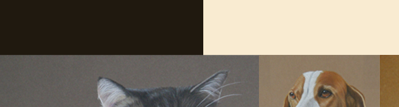 Pferdebilder und Tiermalerei, Auftragsmalerei und gemalte Bilder von Pferden in Pastell