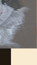 Haustierer und Tiermalerei von Hunden, Katzen, Auftragsmalerei und gemalte Bilder von Pferden in Pastell